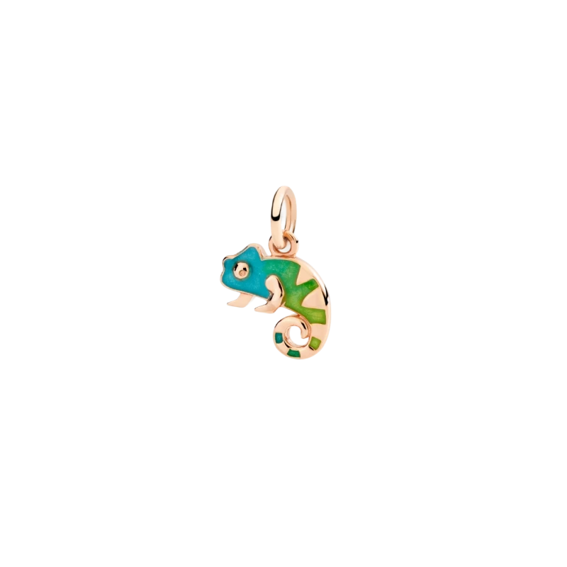 Charm Caméléon