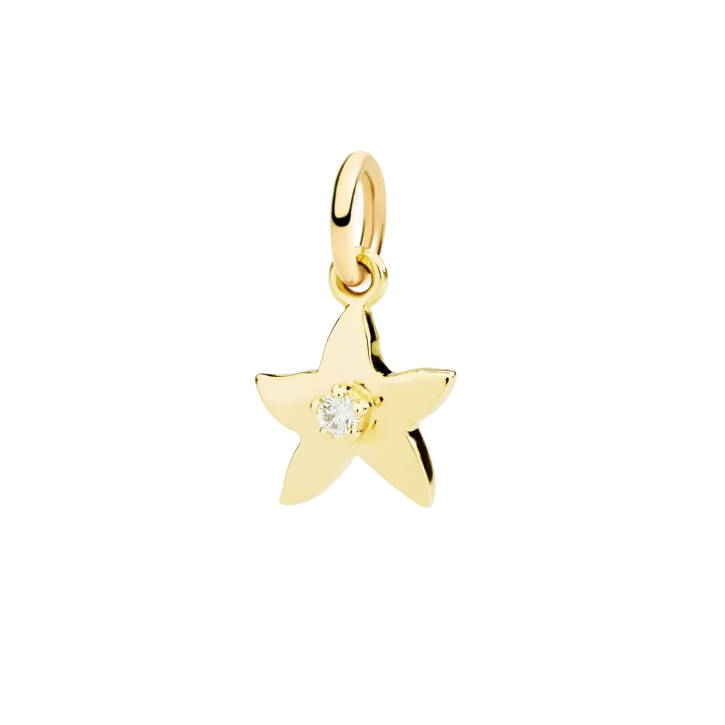 Charm Etoile Diamant