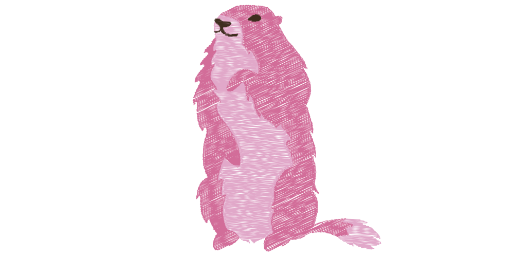 Zip la marmotte rose